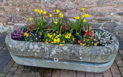 South West in Bloom Judging Date Confirmed!!