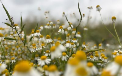 Photography Competition Winners