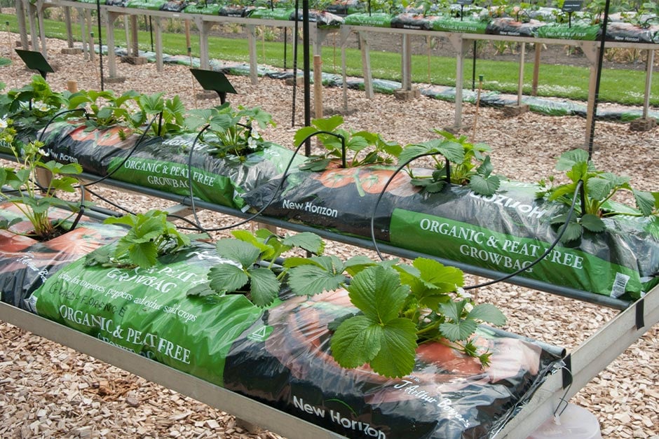 Thornbury in Bloom agree to go peat free